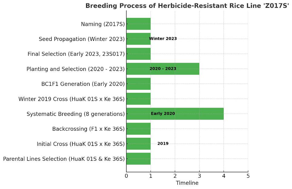 The breeding process of “Z017S”.