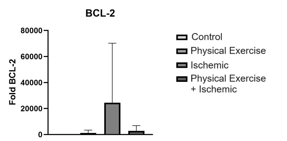 Representation of mean values (± standard error) of BCL-2 gene between the groups studies of cerebellar tissue of rats (P = 0.0027, Kruskall Wallis test, Dunn´s post-test).