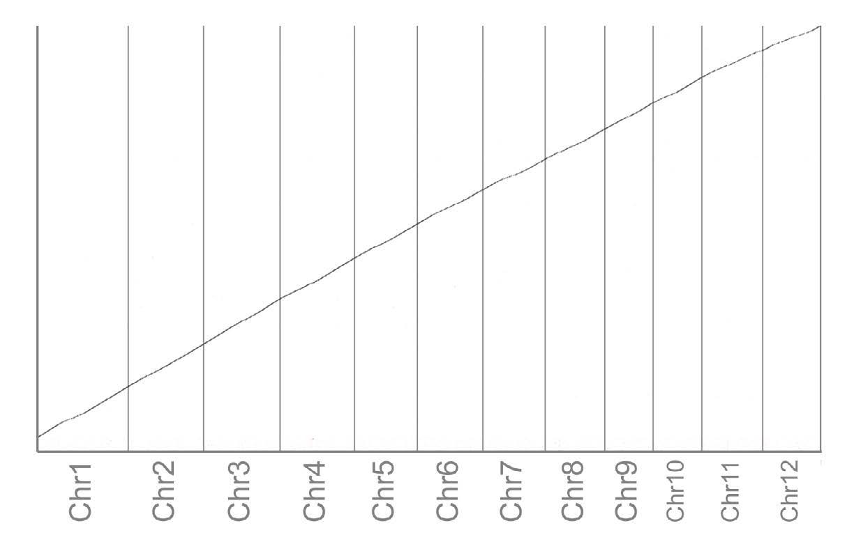 Sequence collinearity analysis among MSU 7.0 and 1892S